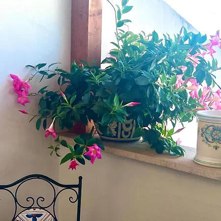 Casazzurra