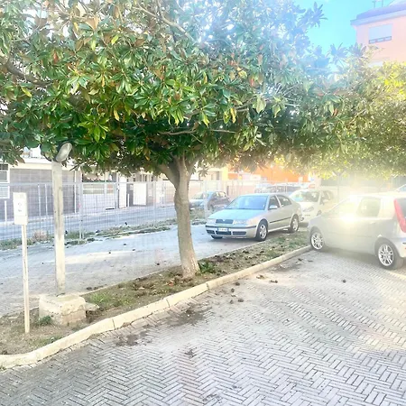 Casazzurra *