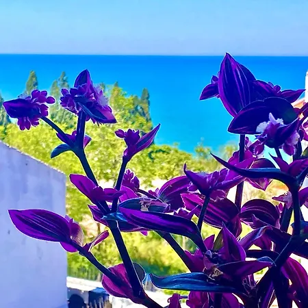 Casazzurra * Ortona